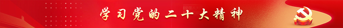 党的二十大