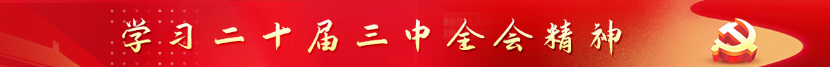 党的二十大