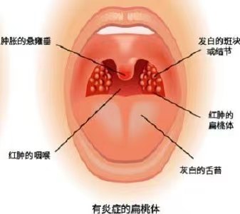 微信图片_20240322101746.jpg